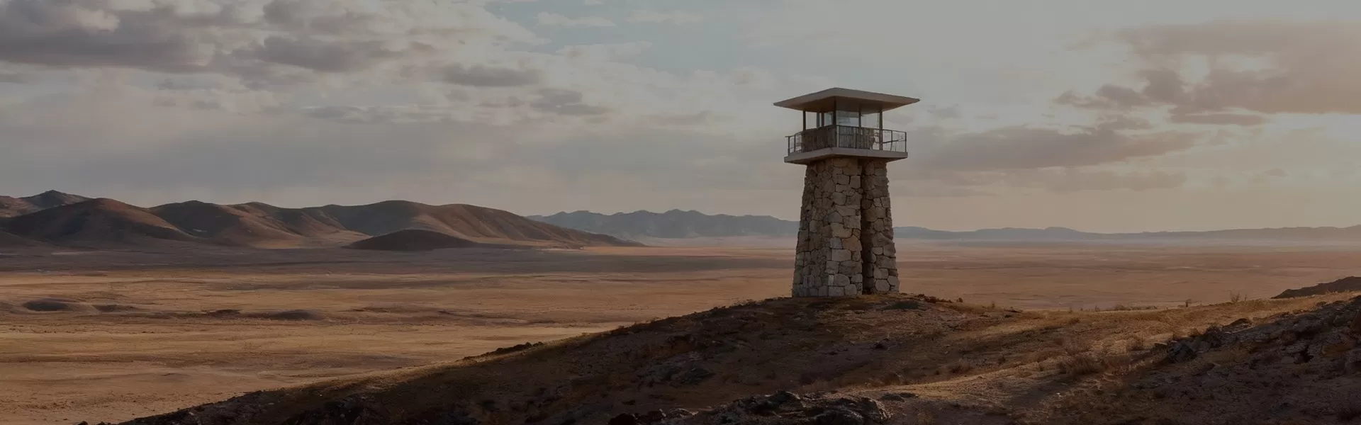 Border Security Drone Defense