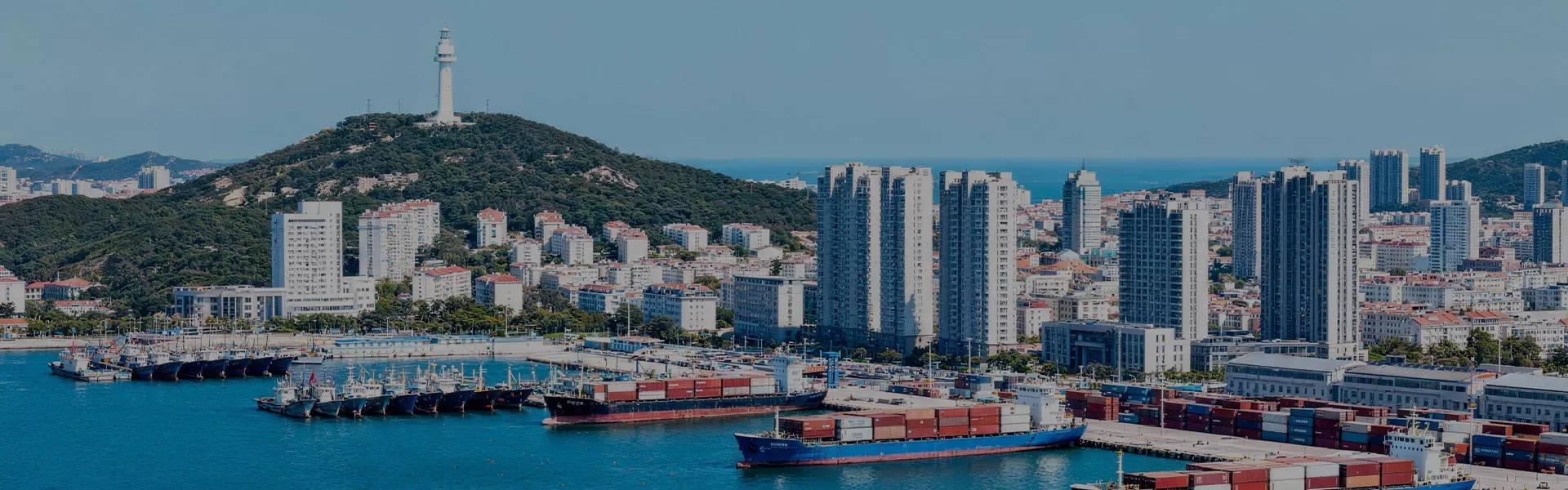 Port Security Drone Defense